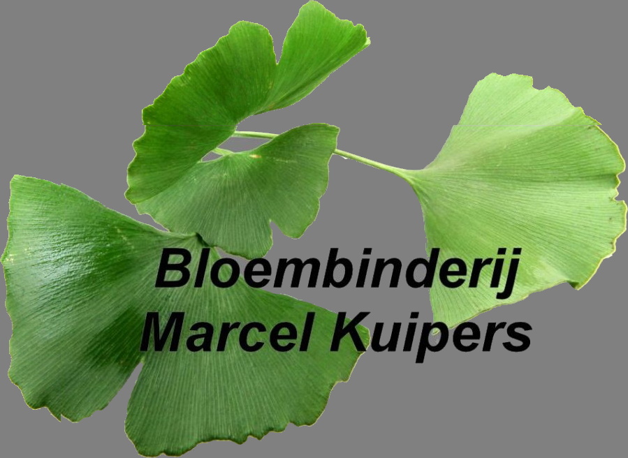 Bloembinderij Marcel Kuipers logo